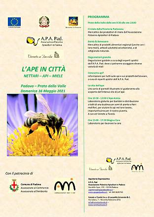 L'ape in città